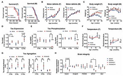 Advances and Challenges in Understanding MicroRNA Function in Tauopathies: A Case Study of miR-132/212